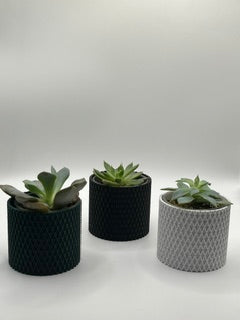 Your new pet plant in a 3d printed pot